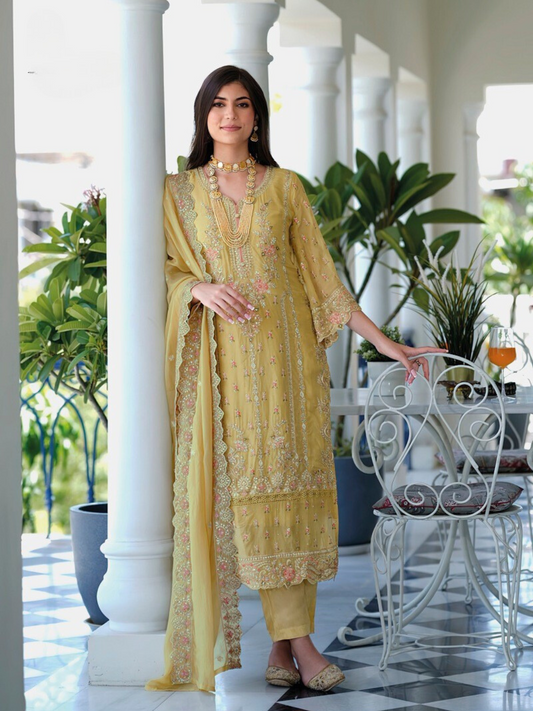 Anaya Organza Salwar Kameez
